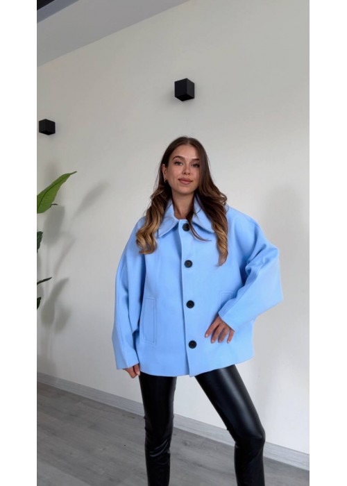 192251 BLUE COAT